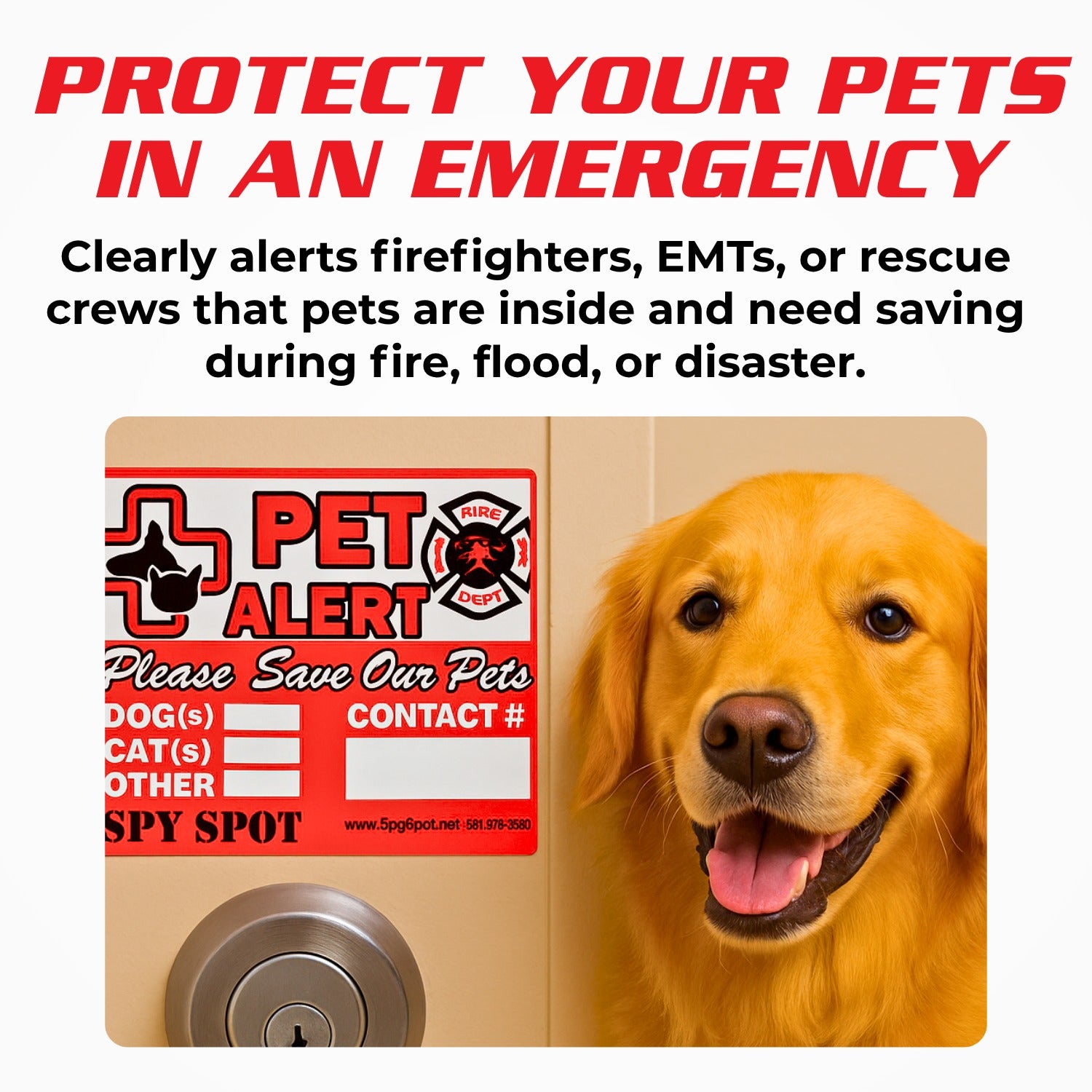 6 Pack Self Adhesive Pet Alert Weatherproof Viny Decal House Window Stickers