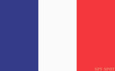 Spy Spot 4 Pack French Flag Sticker Heavy Duty Water Resistant Decal