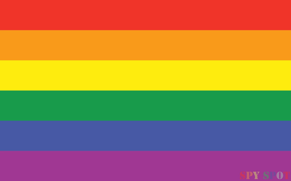 Spy Spot LGBT Rainbow Flag Sticker Vinyl UV Resistant Weatherproof 4" x 2.5" Set of 4