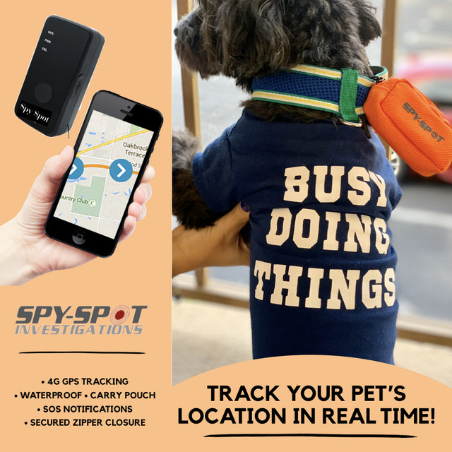 pet gps tracker