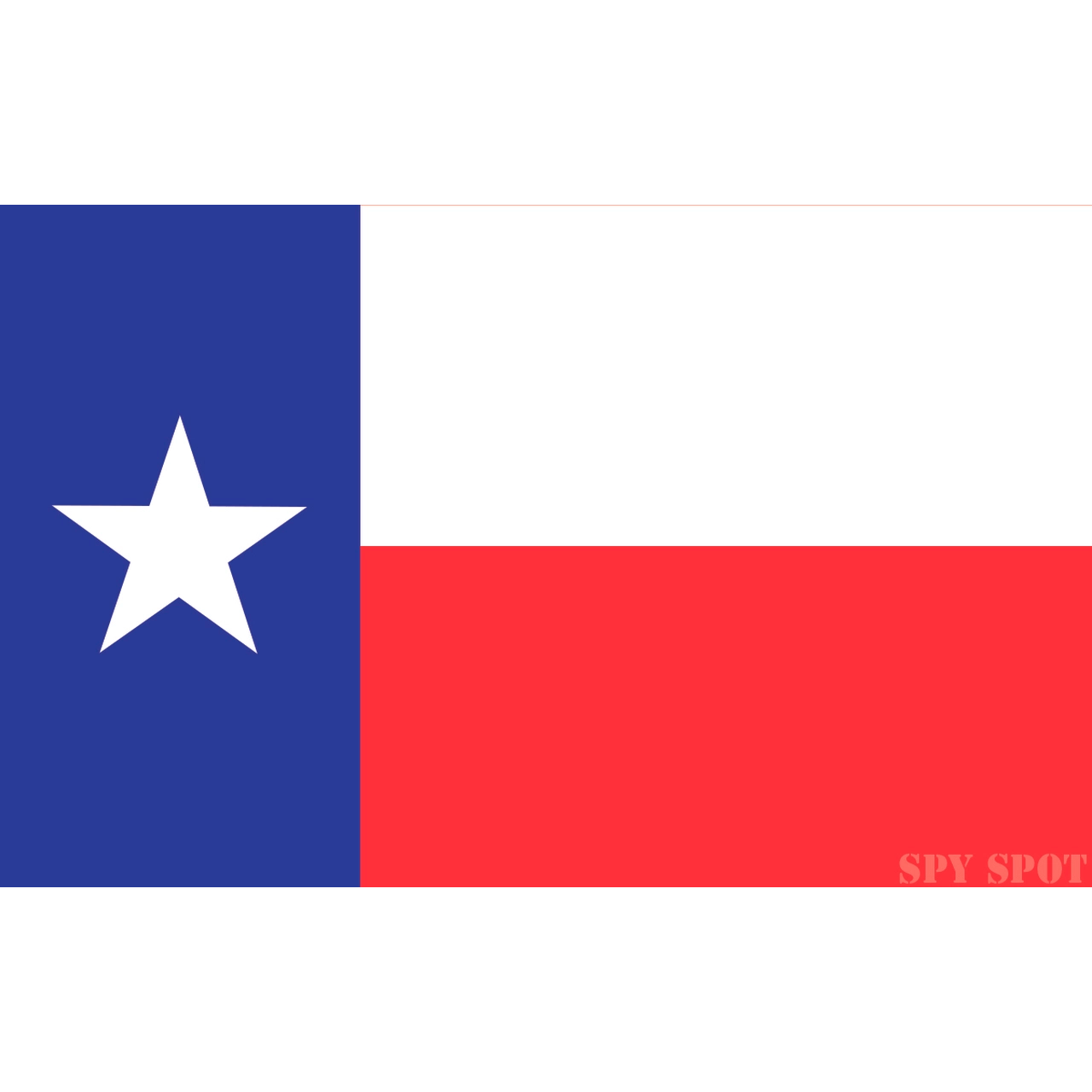 Spy Spot Set of 4 Texas Lone Star State Vinyl Stickers UV Resistant Weatherproof 4" x 2.5"