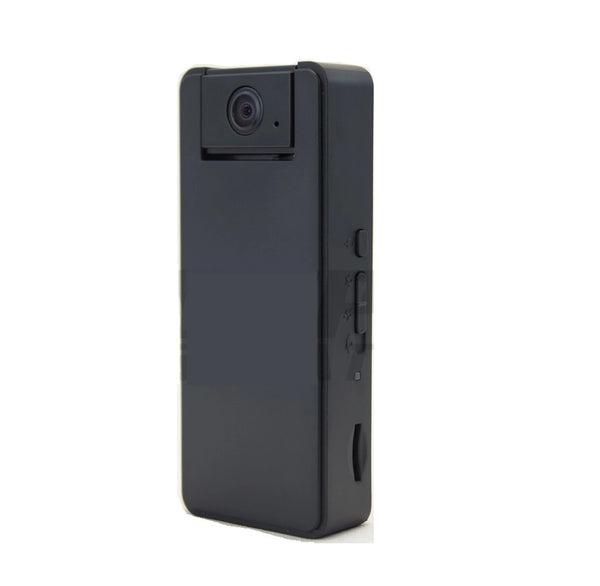 かめ 1_55b002e5-972d-4e3a-98e3-